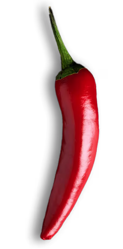 Red chili pepper